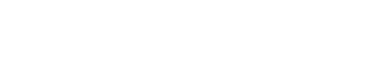 Denali Development Construction logo in white